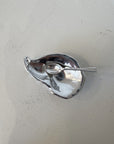 Oyster Shell Salt Cellar with Spoon - Hey Jude