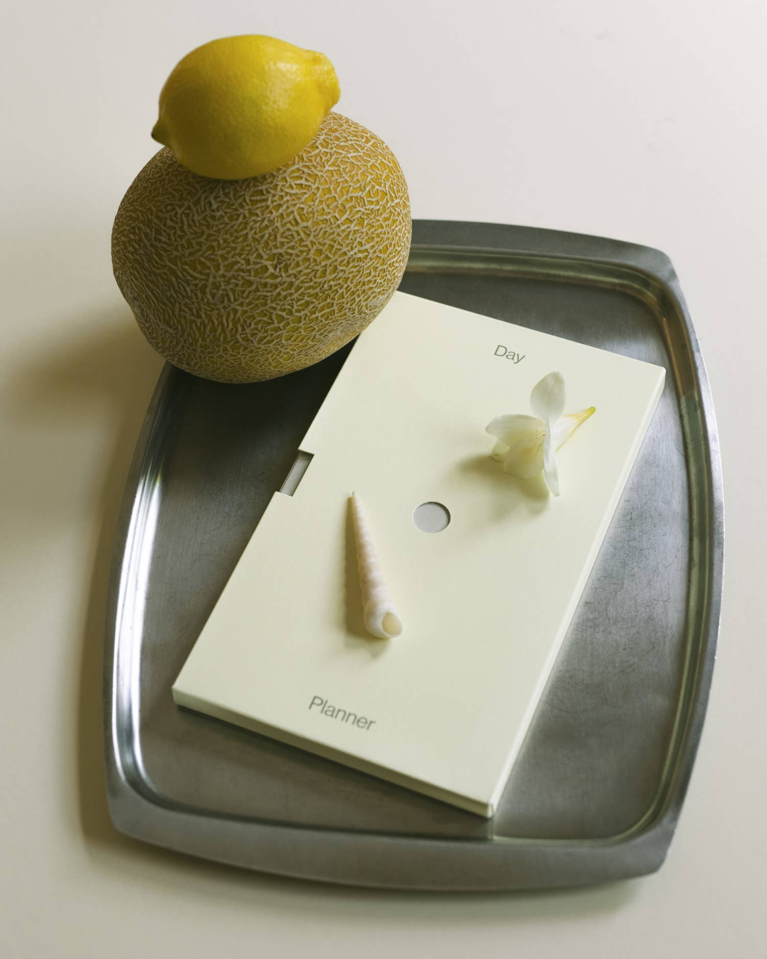 Wilde House Paper | Day Planner