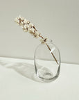 Clear Glass Bud Vases