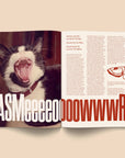 Catnip Magazine