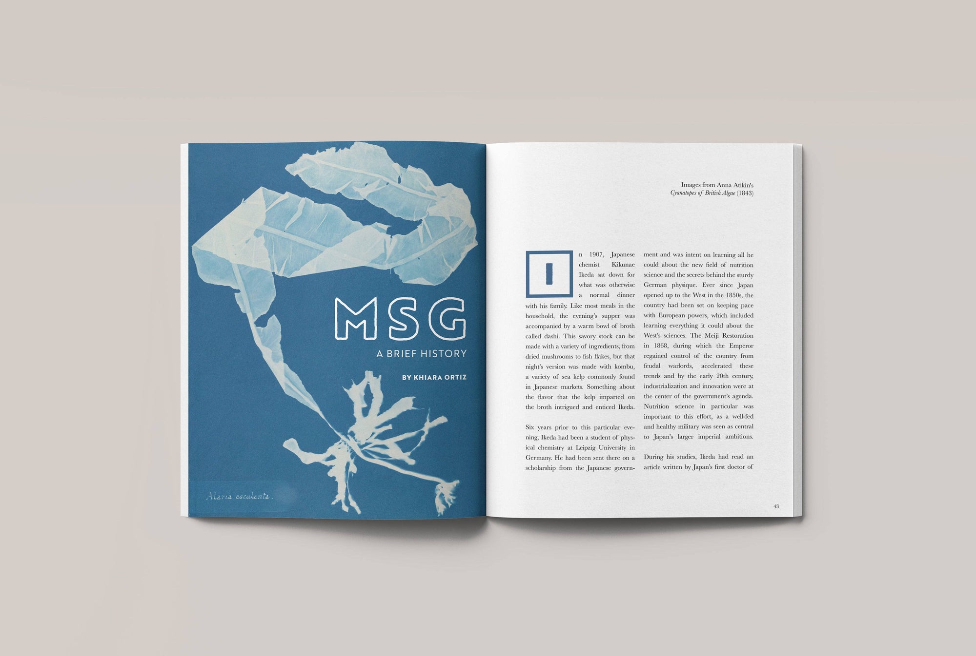 Eaten Magazine | No. 15: Salty