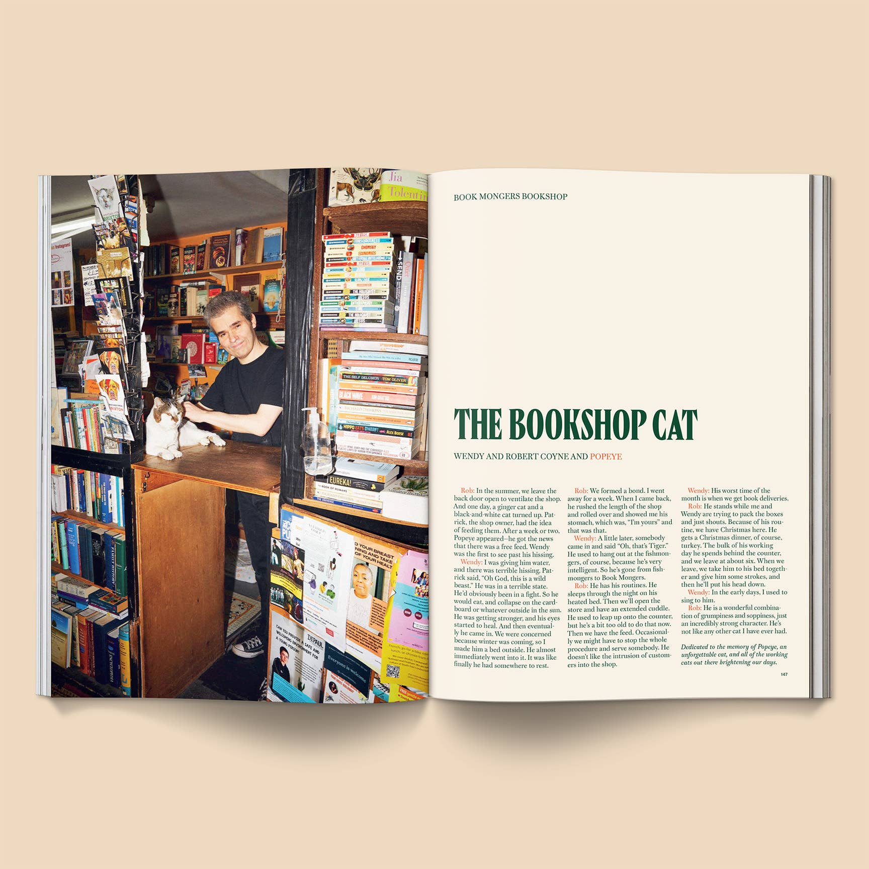 Catnip Magazine Vol. 2 - Hey Jude