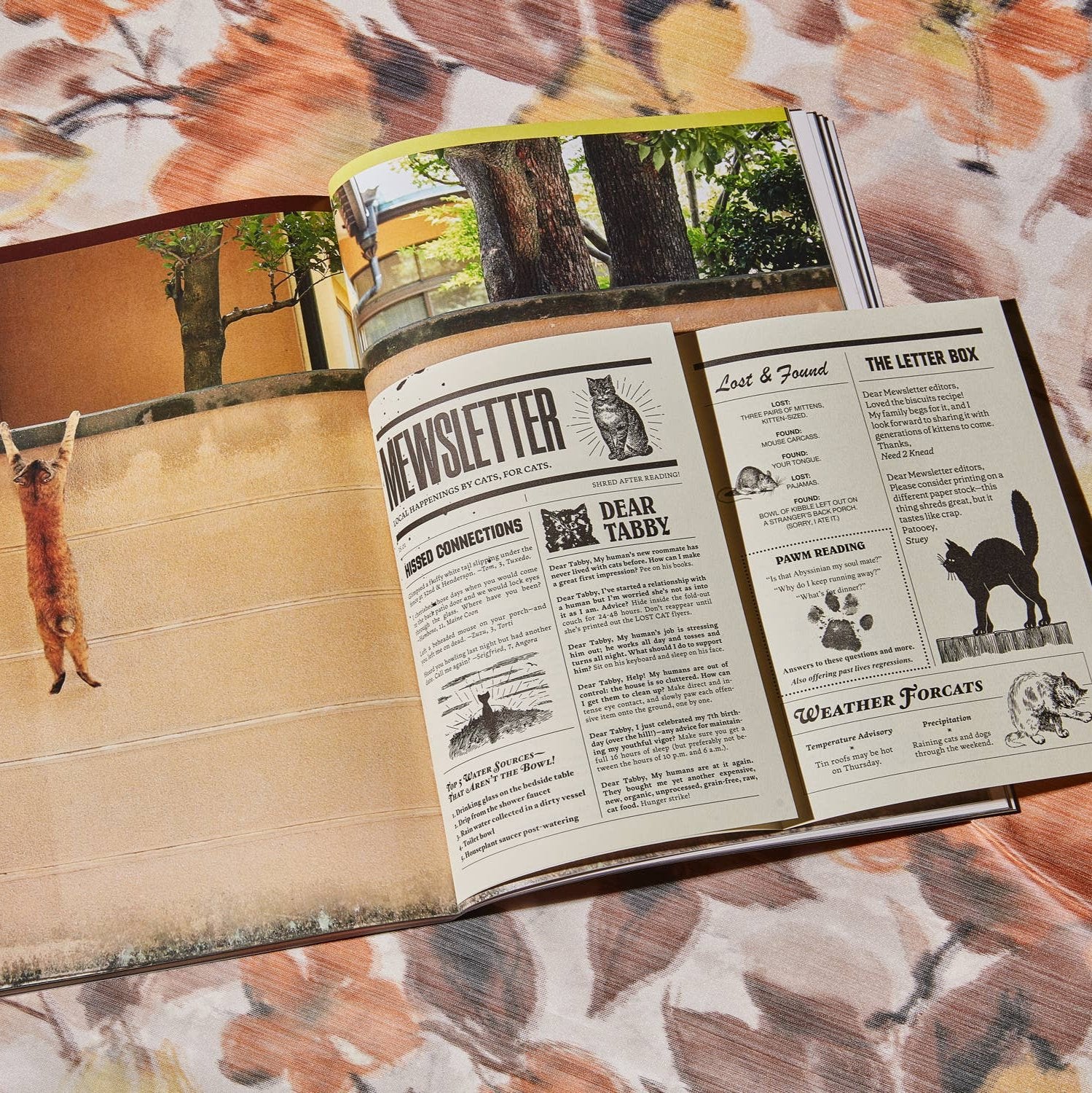 Catnip Magazine
