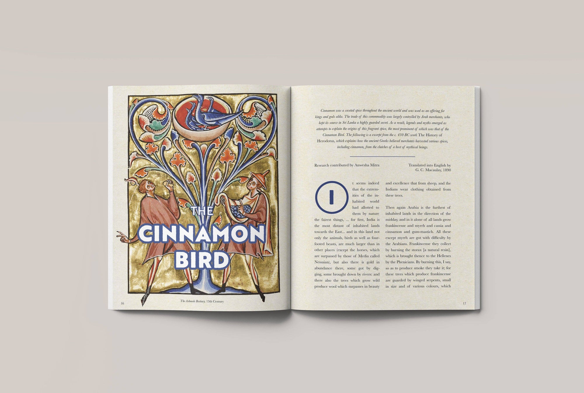 Eaten Magazine | No. 16: Spicy