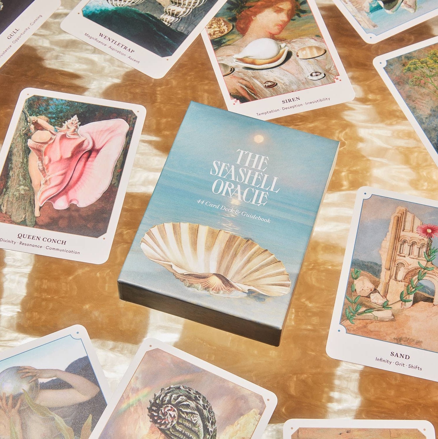 The Seashell Oracle Deck