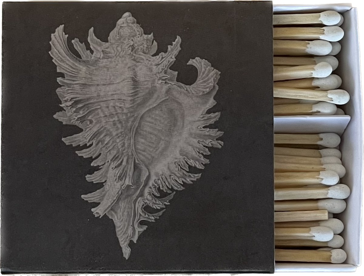 Matches Conch NUE MATCHES – Hey Jude
