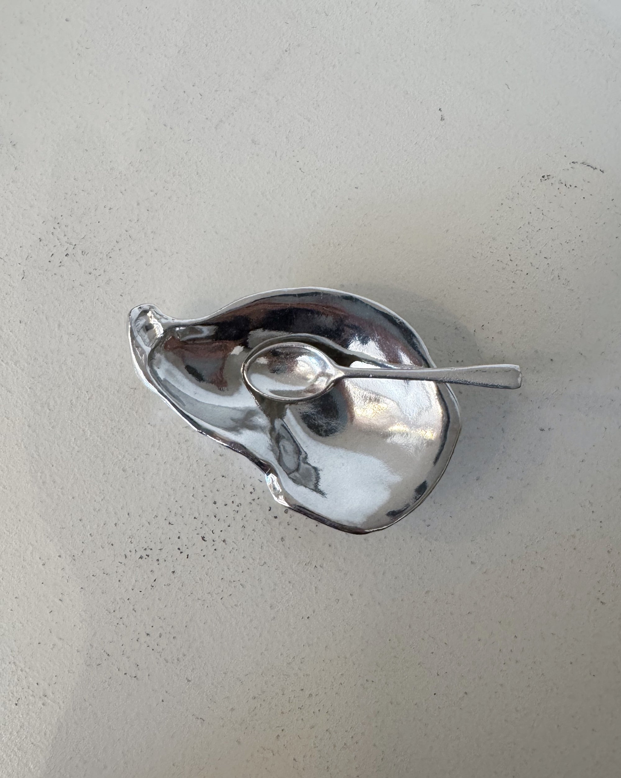 Oyster Shell Salt Cellar with Spoon - Hey Jude