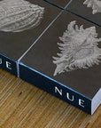 NUE MATCHES | MOLLUSK