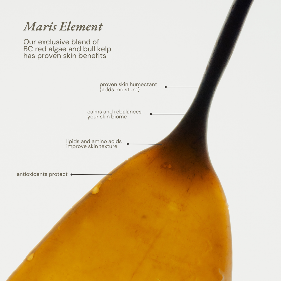 Maris Dae | Restorative Body Serum