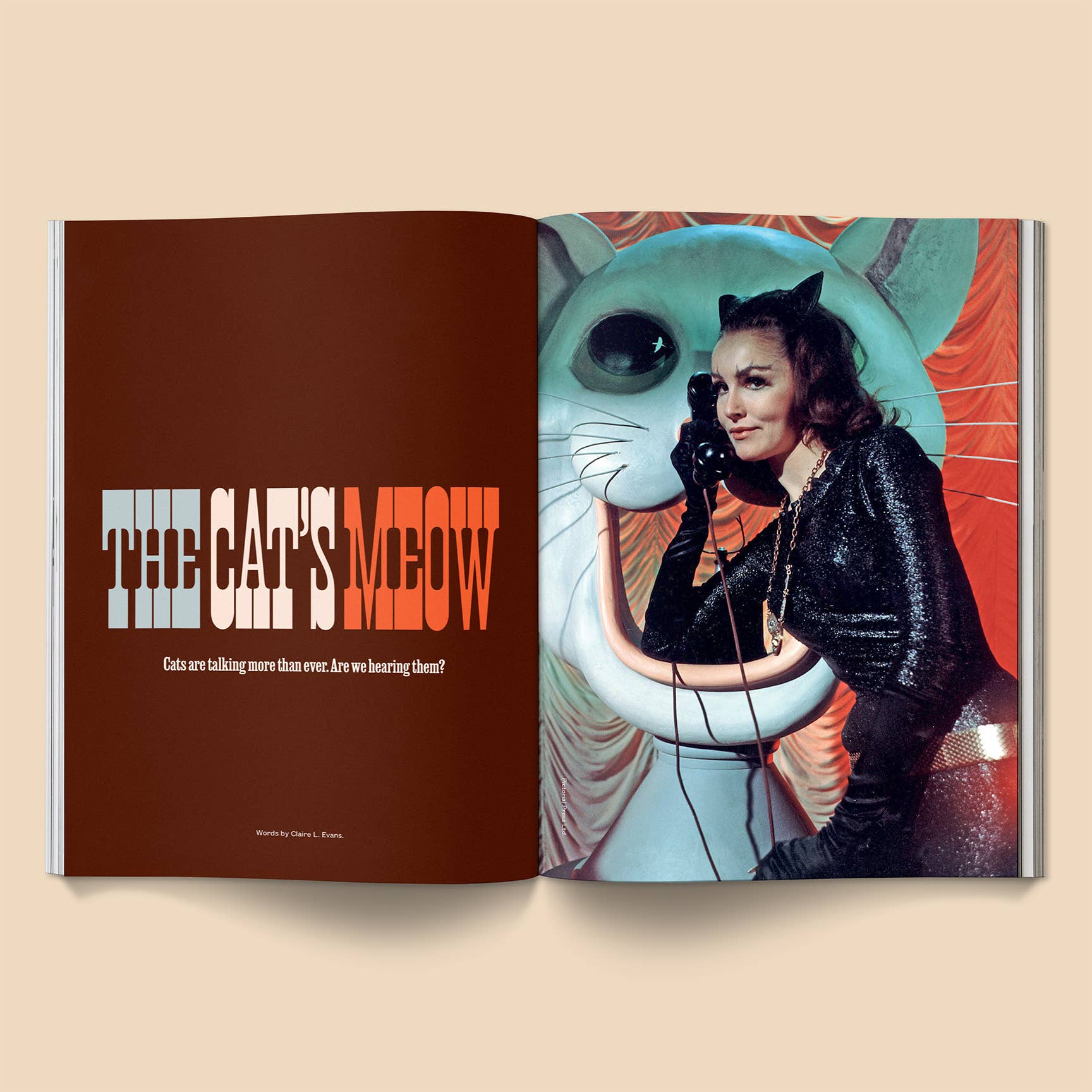 Catnip Magazine Vol. 2 - Hey Jude