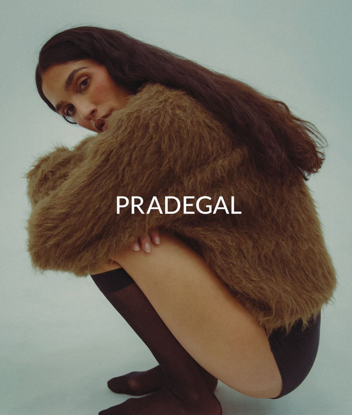 Pradegal | Dakota Alpaca Sweater in Brown