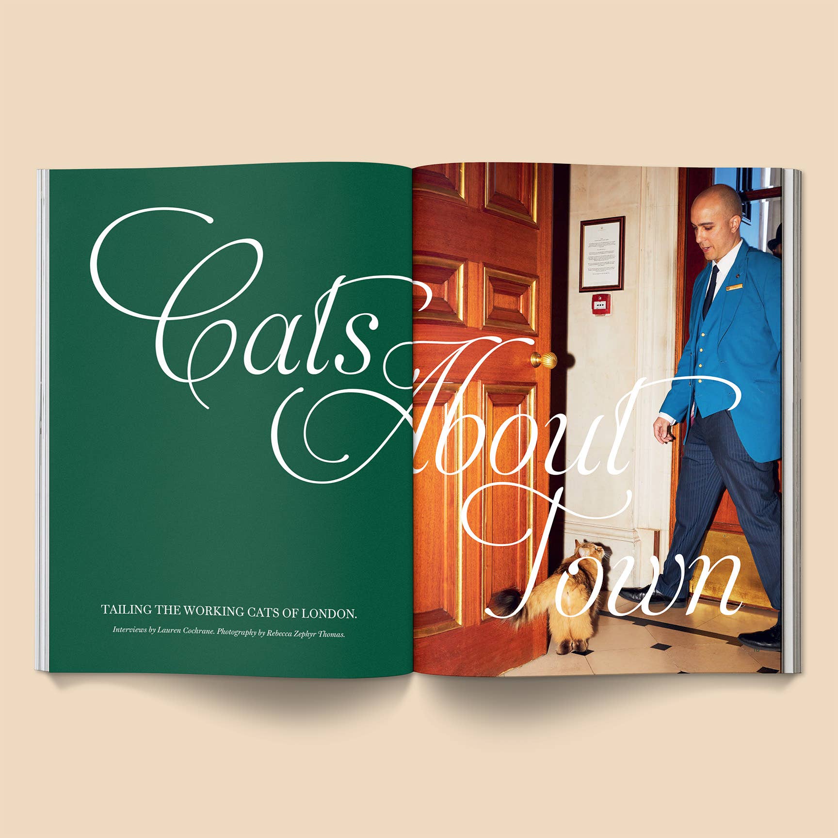 Catnip Magazine Vol. 2 - Hey Jude