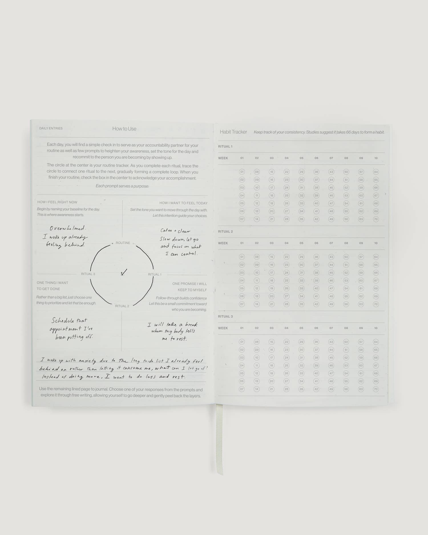 Wilde House Paper - Morning Routine Journal - Hey Jude